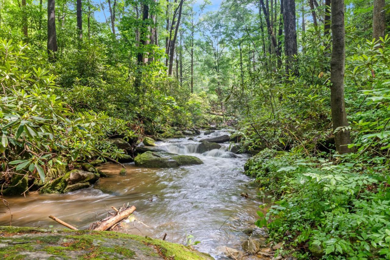 Falling Waters At Rumbling Bald Lake Lure Extérieur photo